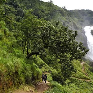 Mallalli Falls - Panoramic View