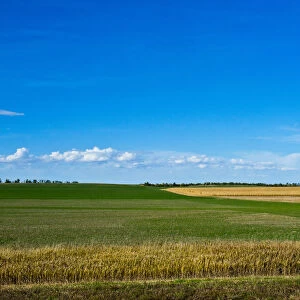 Rural landscape, Nebraska Panhandle, Nebraska, USA