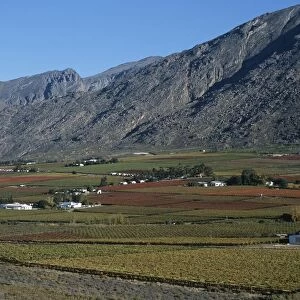 Scenic View of Vineyards Against the Slopes of the Mountains