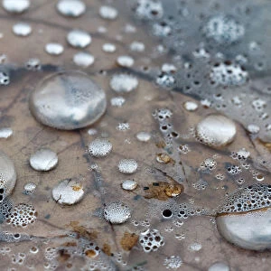 silvery droplets