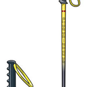 Two types of ski poles