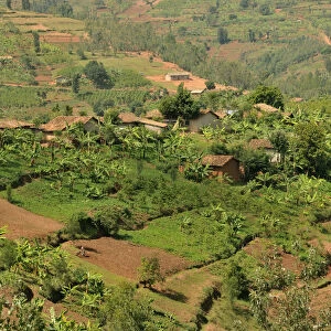 Typical hilly landscape near Busengo, Rwanda, Africa