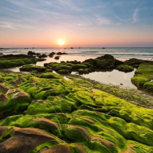 Vietnam beach, Moss, Rock, Sunrise