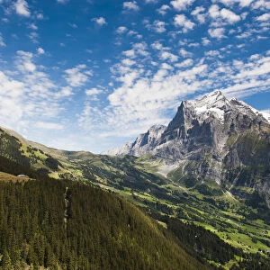 Wetterhorn, Grosse Scheidegg, First, Waldspitz, Grindelwald, Interlaken-Oberhasli, Canton of Bern, Switzerland