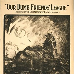 Our Dumb Friends League. A society for the encouragement of kindness to animals