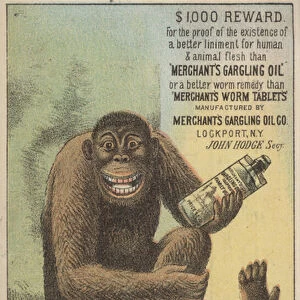 Advertisement for Merchants Gargling Oil and Worm Tablets (colour litho)