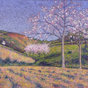 Almond trees in blossom, 1927 (oil on canvas)