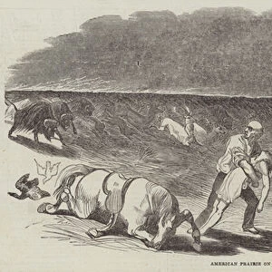 American Prairie on Fire (engraving)