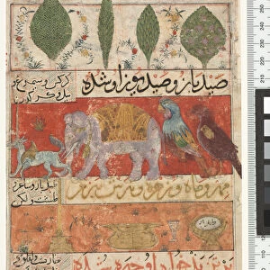Animals, Birds and Plants, Ilkhanid Period, 1341 (w / c, ink & gold on paper)