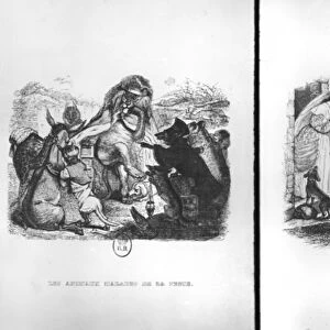Animals with the Plague and The Two Pigeons, illustrations from the Fables of La Fontaine