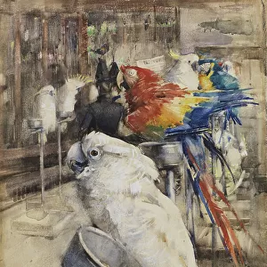The Aviary, Clifton, 1888 (w/c on paper)