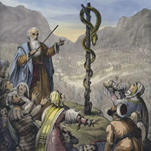 The brazen serpent (coloured engraving)