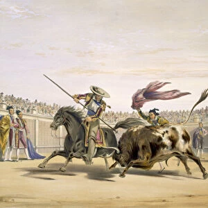 The Bull Following up the Charge, 1865 (colour litho)