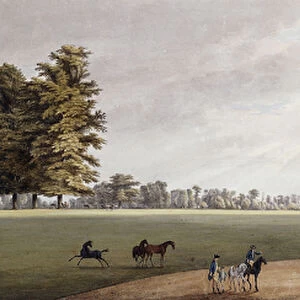 A Carriage in the Park at Luton being met by Riders and Frisking Foals