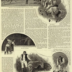 Circus Life Behind the Scenes (engraving)