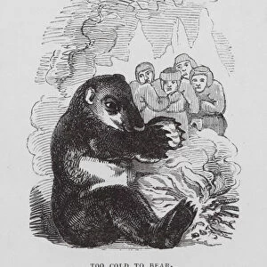 Too Cold to Bear (engraving)
