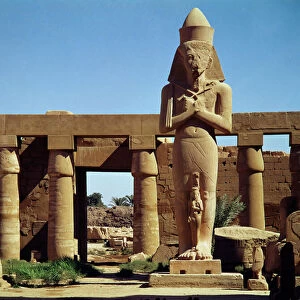 The Colossus of Ramesses II: standing statue of the king with his daughter Benta anta in