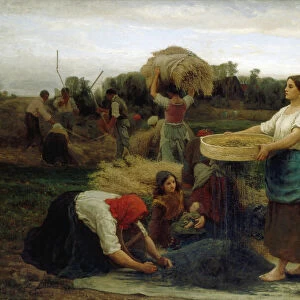 The Colza (Harvesting Rapeseed), 1860 (oil on canvas)