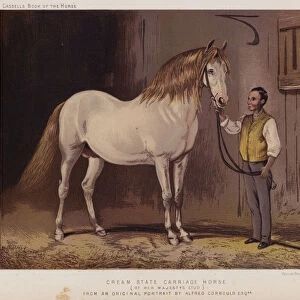 Cream State Carriage Horse, of Her Majestys Stud (colour litho)