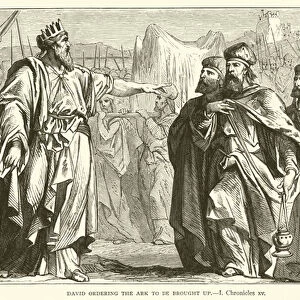David ordering the ark to be brought up, I, Chronicles, xv (engraving)