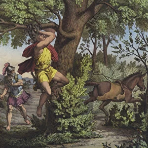 Death of Absalom, son of King David, caught by the head in the boughs of an oak tree at the Battle of Ephraims Wood (colour litho)