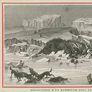 Discovery of a woolly mammoth beneath the ice (chromolitho)