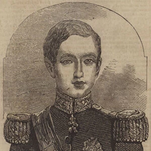 Dom Pedro V, King of Portugal (engraving)