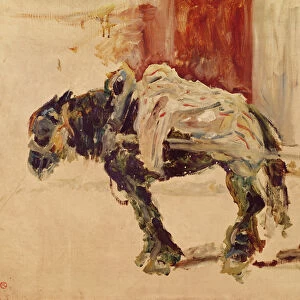A Draft Horse at Celeyran, 1881 (oil on canvas)