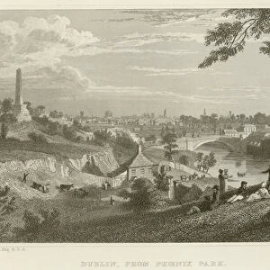 Dublin from Phoenix Park (engraving)