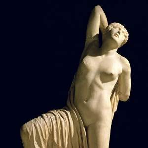 Dying Niobid, from the Baths of Sallust (marble)