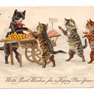 Edwardian New Year postcard of a cat minding a fruit stall with three kitten customers, c