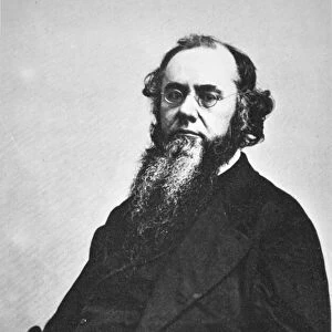Edwin M. Stanton (1814-69) (b / w photo)