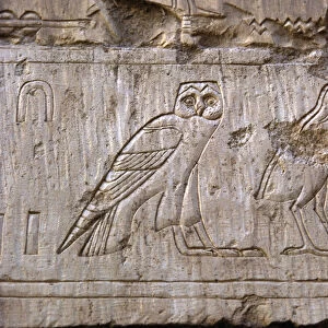 Egyptian antiquite: relief representing an owl and an eagle