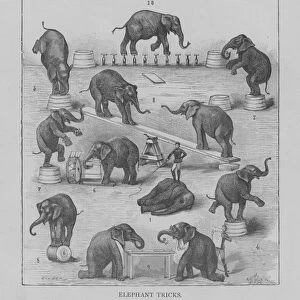 Elephant Tricks (engraving)