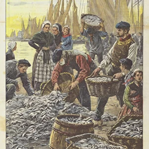 The End of Misery in Brittany, The Miraculous Sardine Fishing Happened In The Days Gone (colour Litho)