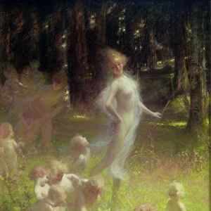 Fairy and sprites in the undergrowth