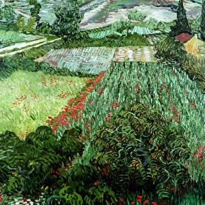 Field with Poppies, 1889 (oil on canvas)