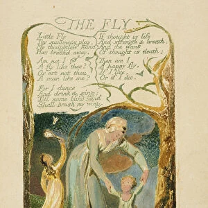 The Fly, plate 47 from Songs of Experience, 1794 (colour printed