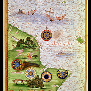 Fol. 41v Map of Australia, from Cosmographie Universelle, 1555 (w / c on paper)