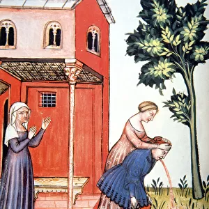 Fol. 99v Throwing Up, illustration from Tacuinum Santiatis Codex Vindobonensis (vellum)