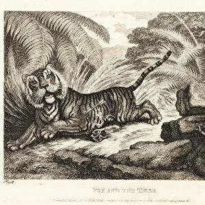 A fox watches a wounded tiger. 1811 (etching)