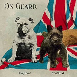 On guard: dogs representing England, Scotland and Ireland (colour litho)