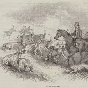 Hare-Hunting (engraving)