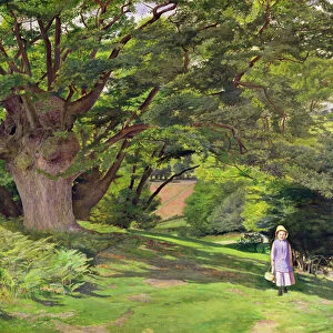 Hayes Common, 1852-53 (oil on canvas)