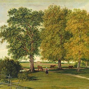 Herder with Cattle beneath Autumnal Trees, c. 1821 (oil on paper laid on cardboard)