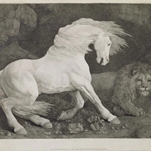 A Horse Affrighted by a Lion, engraved by the artist, pub. 1788 (etching)