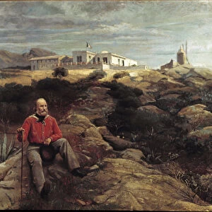 The Italian patriot Giuseppe Garibaldi on the island of Caprera, 1867 (painting)