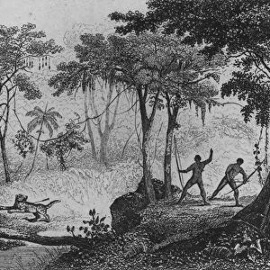 Jaguar Hunt, from Bresil, Columbie et Guyanes by Ferdinand Denis and Cesar Famin 1837