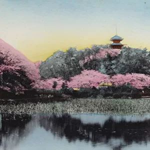 Japan, c. 1912: Sankeiyen, Mr Haras Private Garden, Honmoku, Yokohama (photo)