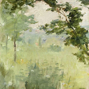 Landscape study (oil on canvas)